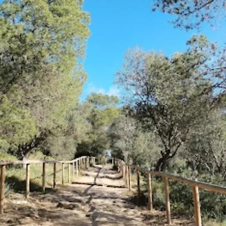 Luna Llucmajor (Mallorca)