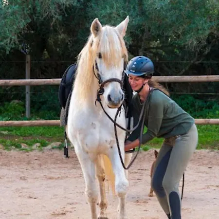 Luna * Llucmajor (Mallorca)